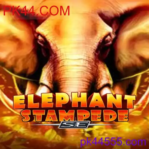 ElephantStampedeSE