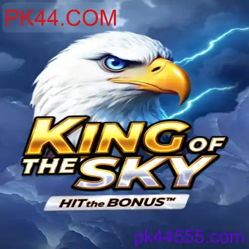 KingOfTheSky